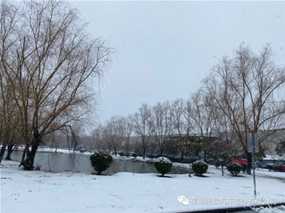 瑞雪迎开工，虎年行好运！