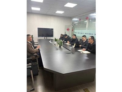 鸠江区工信局和街道办来我司视察工作